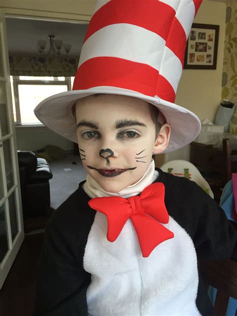 cat in the hat costume diy